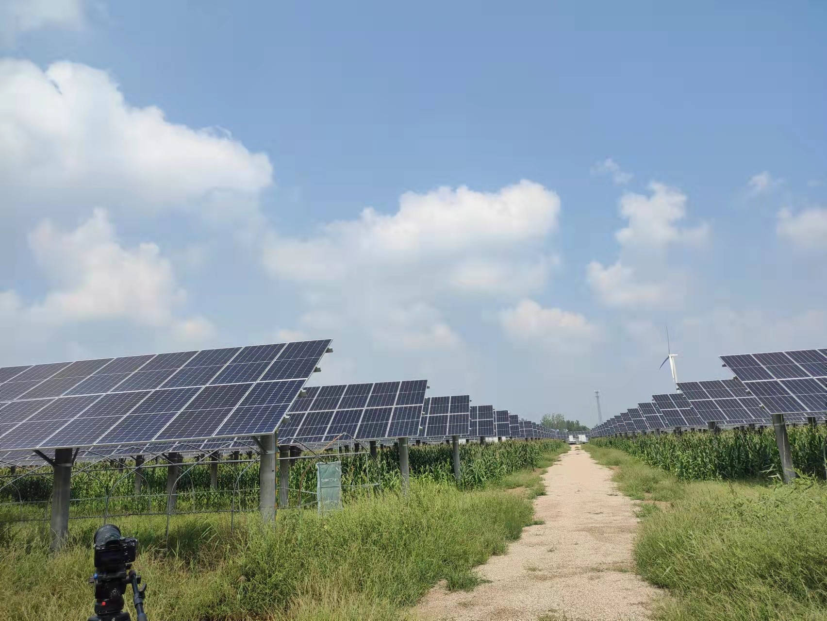 首页|CA88游戏官方网站